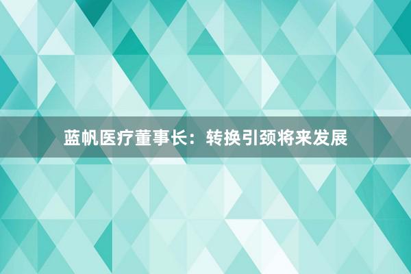 蓝帆医疗董事长：转换引颈将来发展