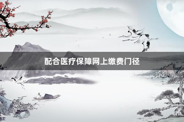 配合医疗保障网上缴费门径