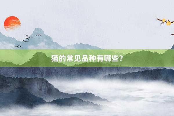 猫的常见品种有哪些?