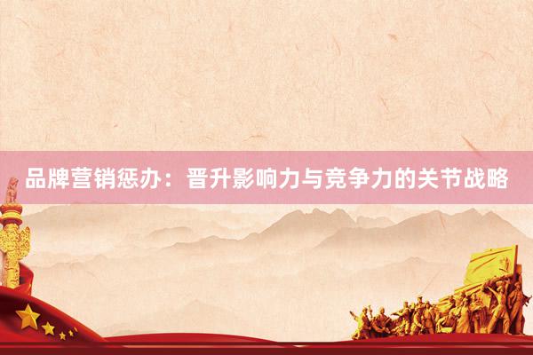 品牌营销惩办：晋升影响力与竞争力的关节战略